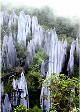 Borneo adventures