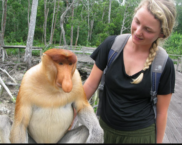 with Proboscis