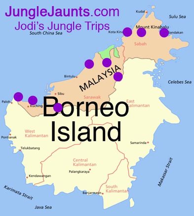 Jungle Jaunts Tour Map